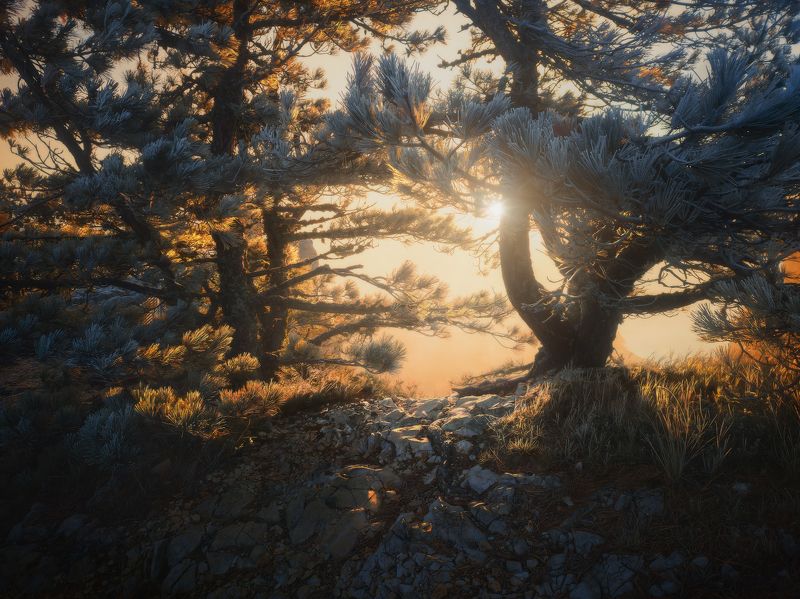 Утро на Ай-Петри фото превью