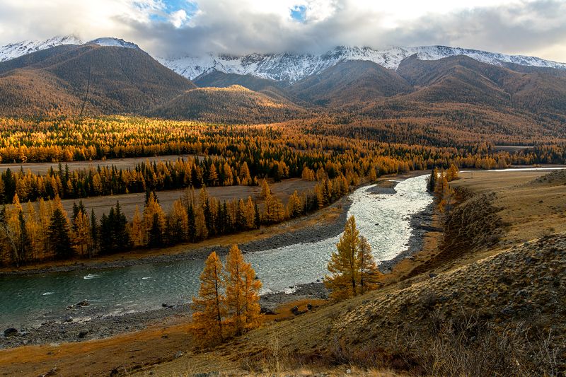 алтай, осень, горы, река Осенний пейзаж реки Чуя фото превью