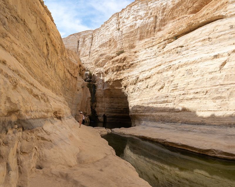 Оазис эйн Авдат, Негев фото превью