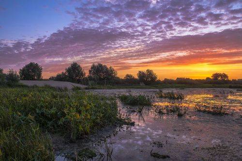 Облака на рассвете.