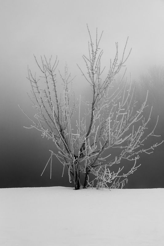 ЧБ, Большой Исток, Урал ЧБ на Большом Истоке фото превью