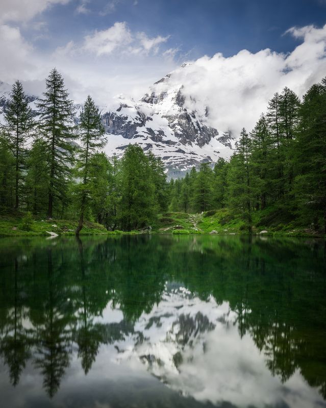 Old Chieftan фото превью