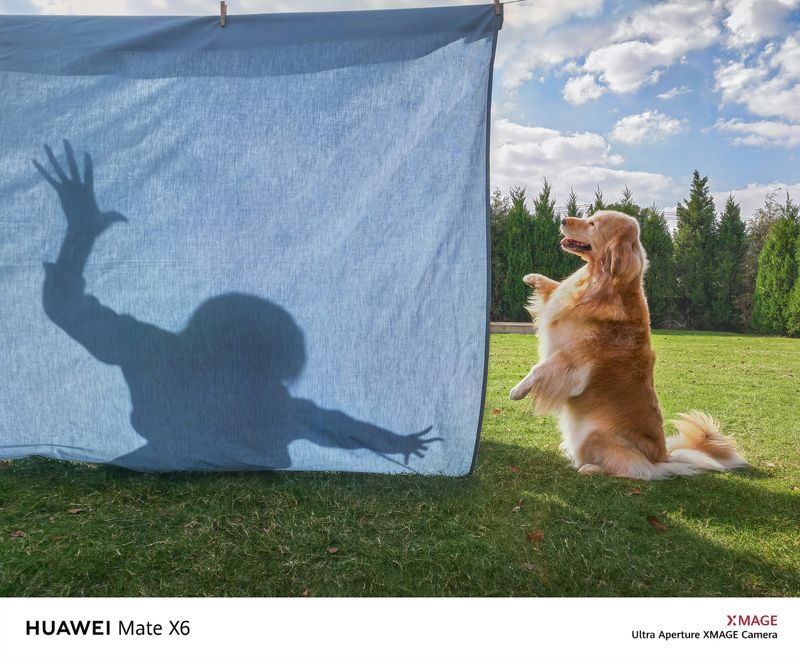 pet happy фото превью