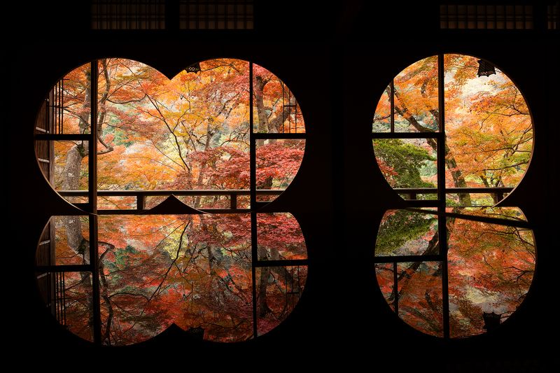 autumn foilage Red Window фото превью