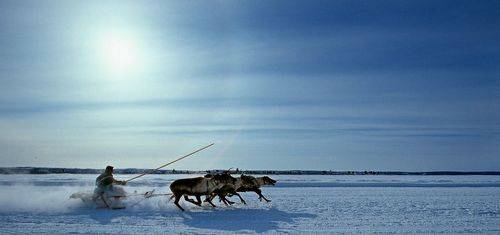 Утренняя пробежка