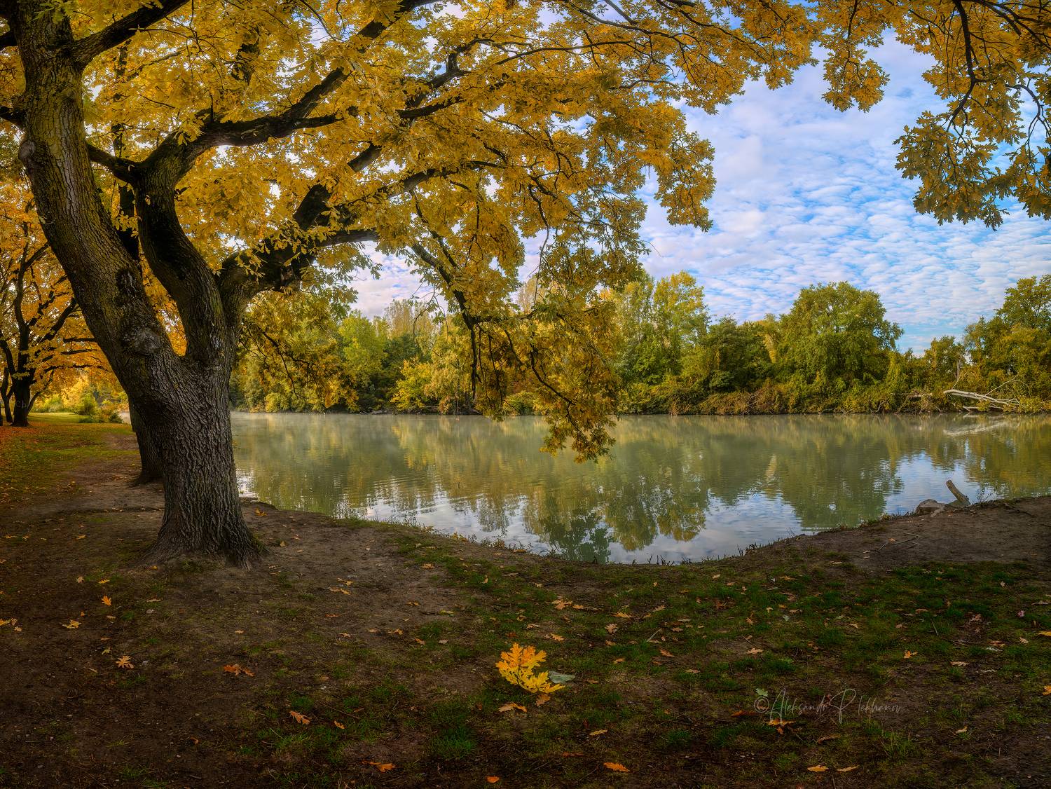 , Плеханов Александр