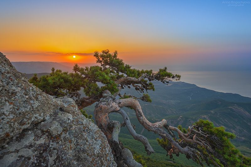 Рассвет на Демерджи фото превью