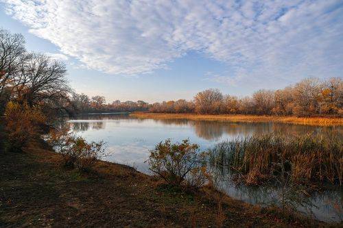 Залив реки..