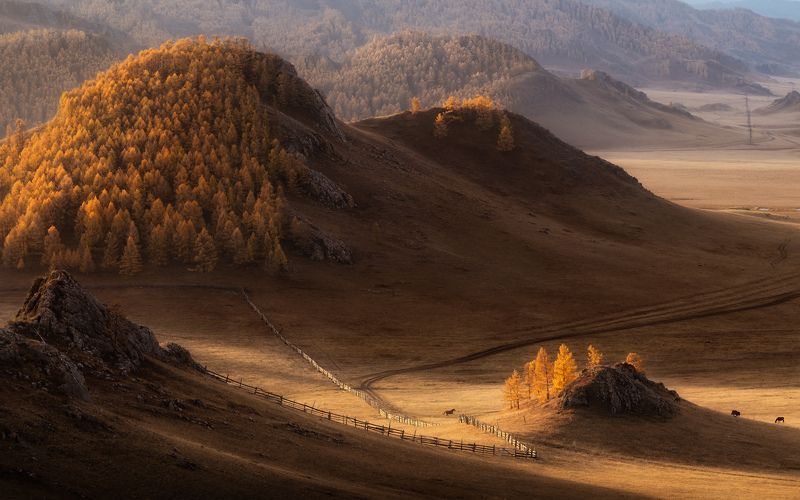 Хроники одного скакуна фото превью