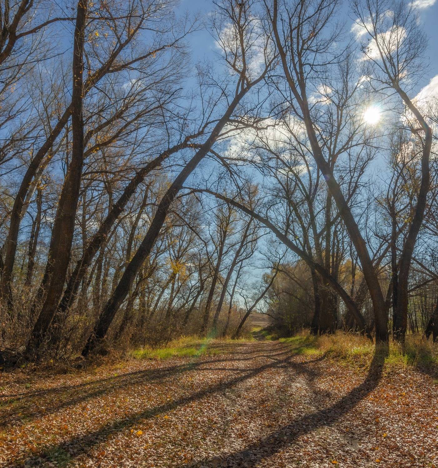 , Шустиков Дмитрий