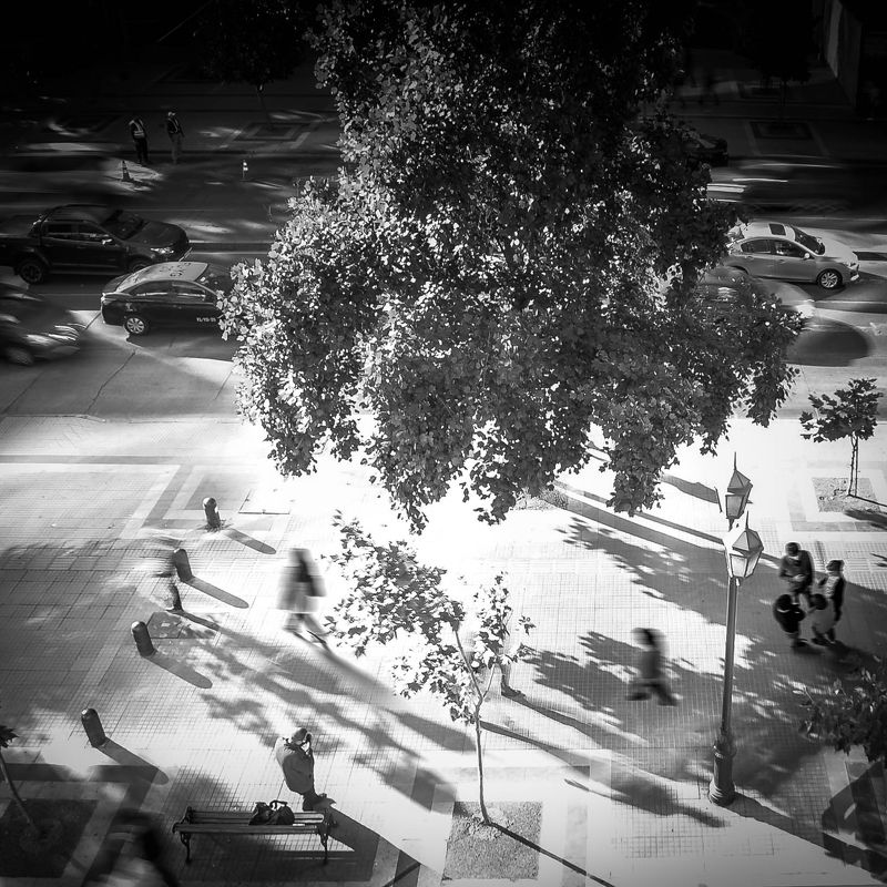 One day the city фото превью