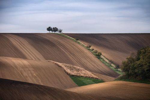Три с половиной