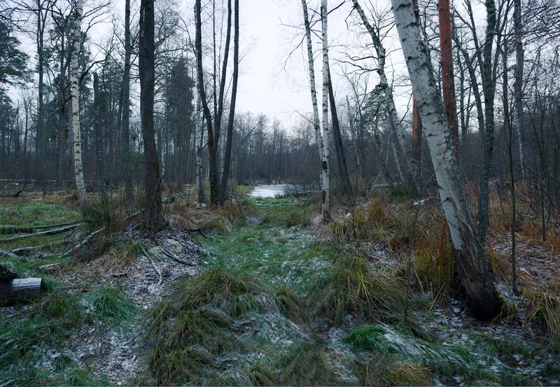 воронеж, озеро черепашье, черепашье, зима, утро, синий час, река, пейзаж, воронежская область, декабрь Озеро черепашье (вид сбоку) фото превью