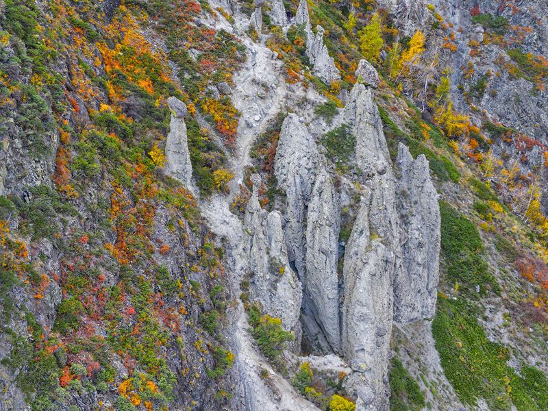 Алтай, Россия, Челышман, Каменные грибы, пейзаж Каменные грибы фото превью