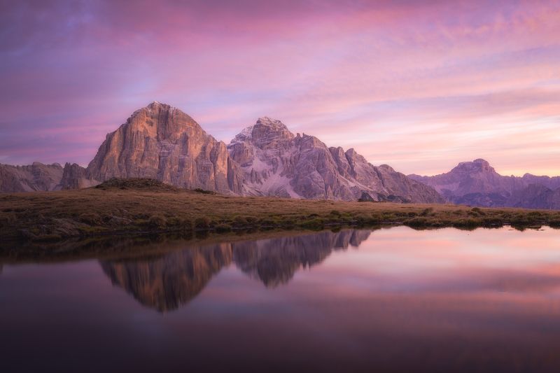 Tofana фото превью