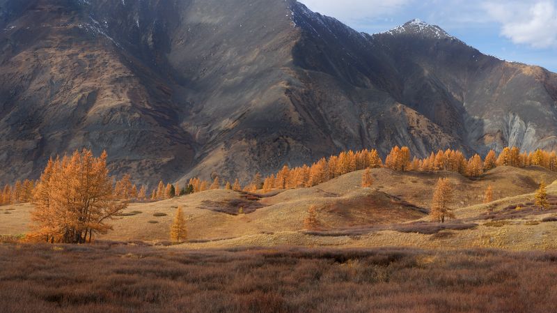 Алтай джазатор осень горы Косогоры-горы фото превью