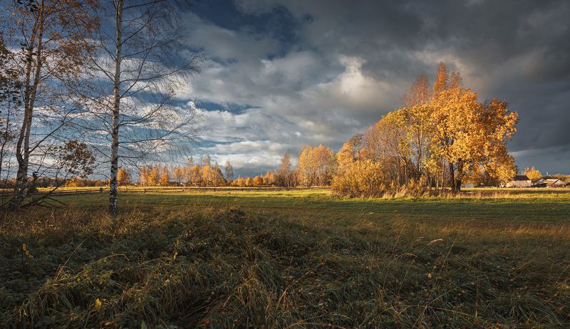 д. Торбеево На закате... фото превью