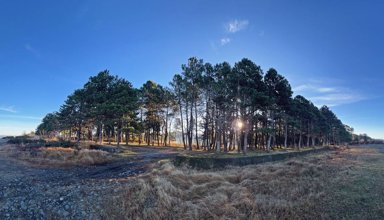 , Куликова Ирина