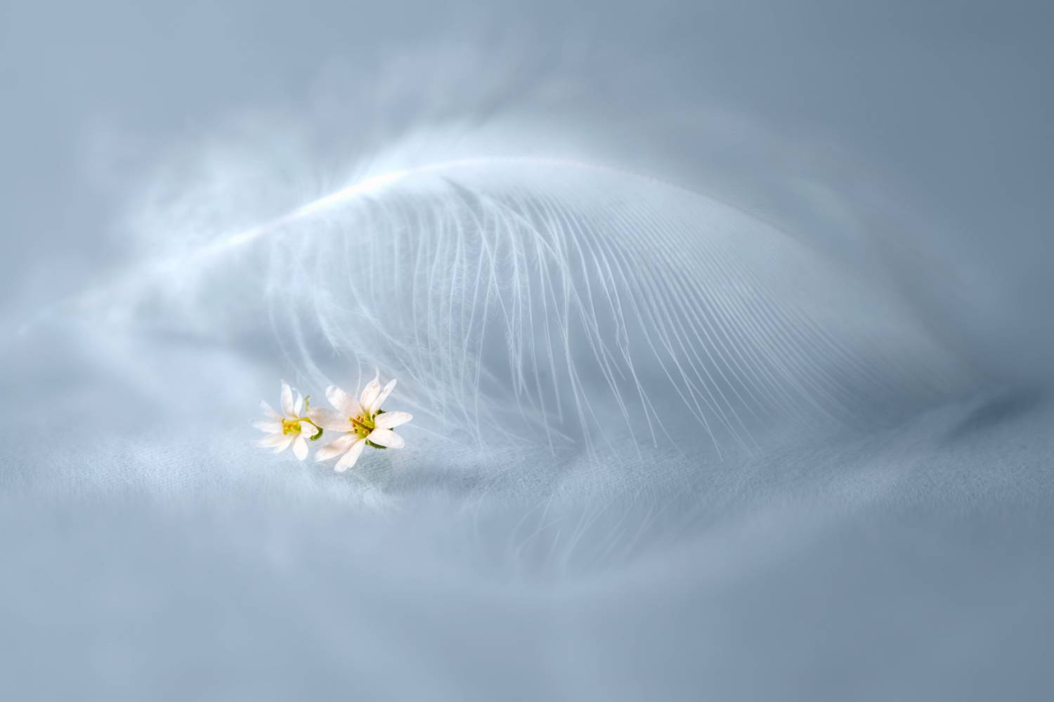 , Копцев Игорь