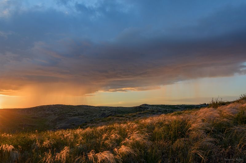 оренбургская область, природа, небо, лето Ливень фото превью