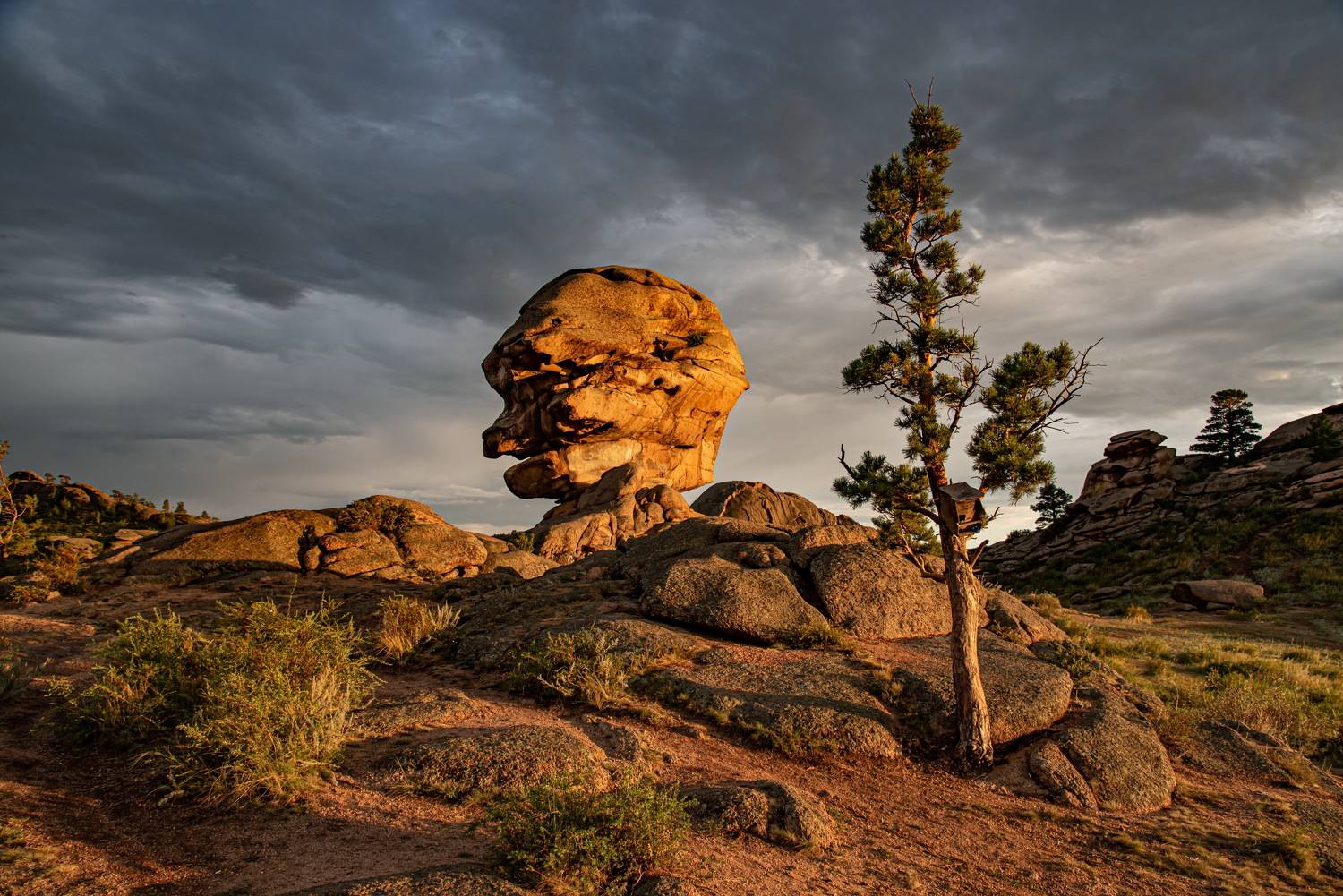 баянаул, Евгений Дроботенко