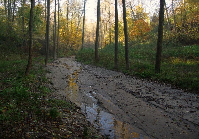 Осеннее утро фото превью