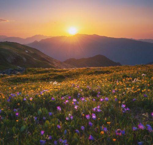 Закат цветочного Магишо!