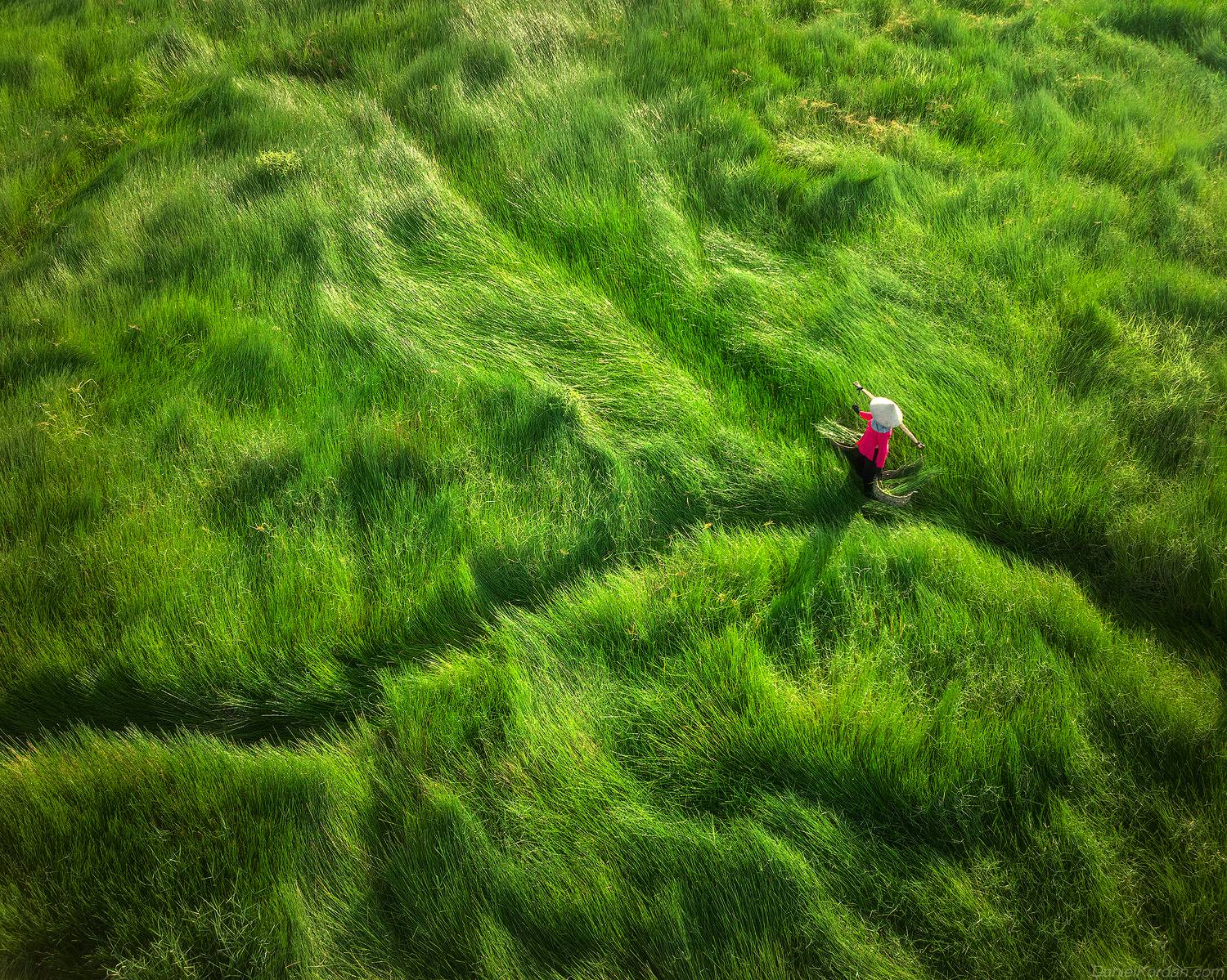 , Даниил Коржонов