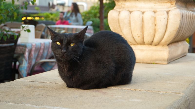 Желтые огоньки фото превью