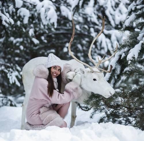 Волшебная встреча