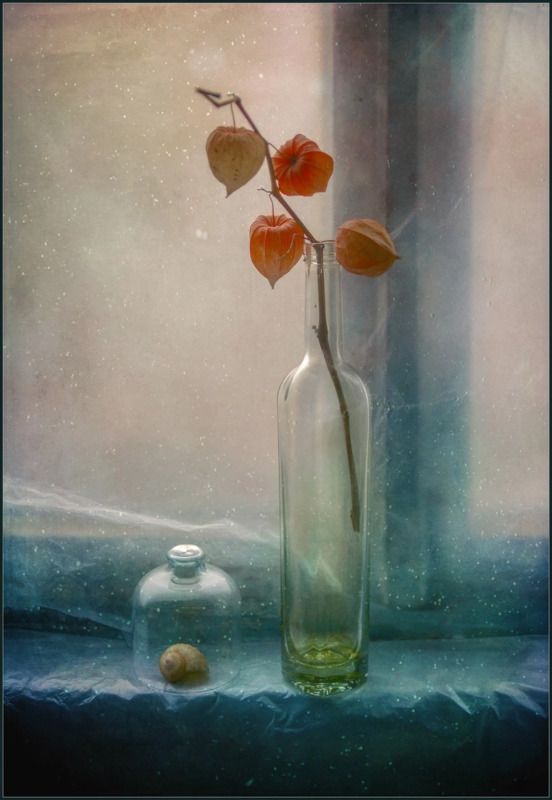 Зимний ноктюрн.. фото превью