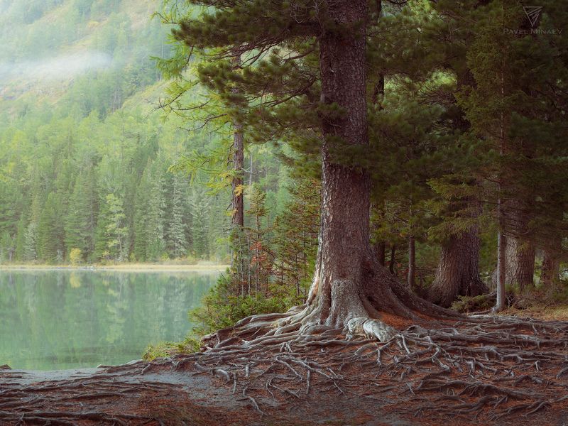 На берегу Среднего Мультинского фото превью