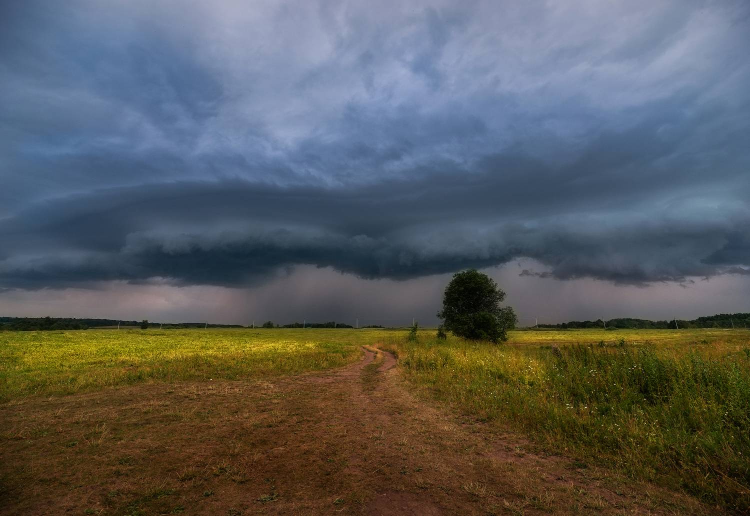 , Рустем Диков