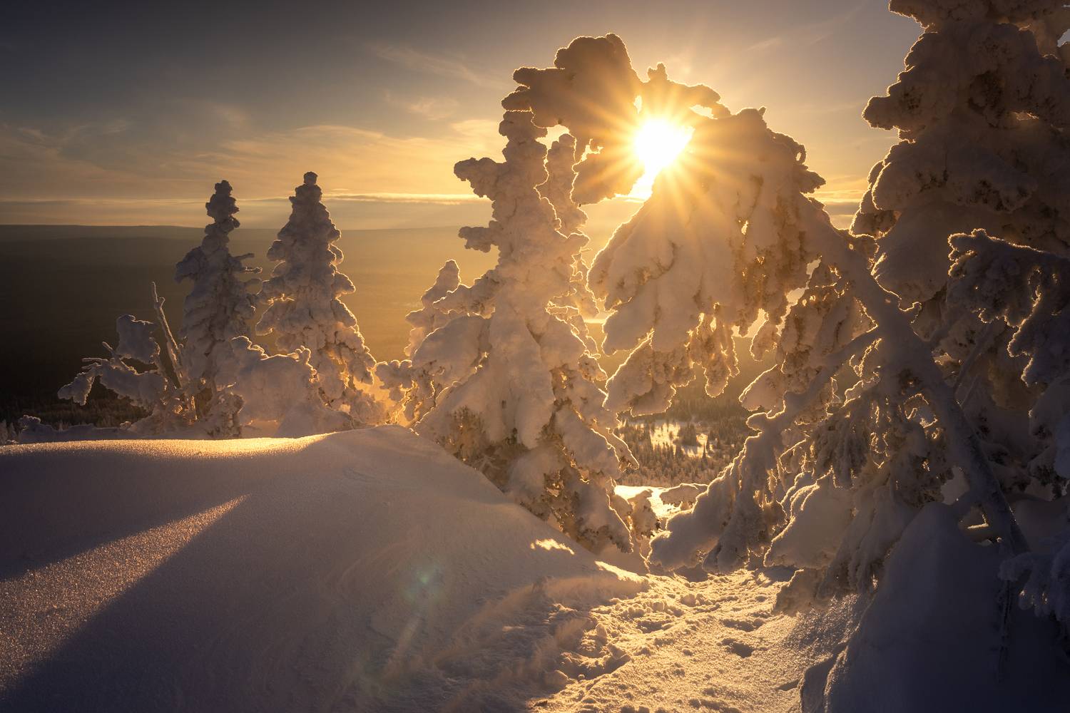 , Татьяна Бирюкова