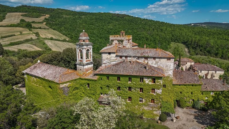 Frosini фото превью