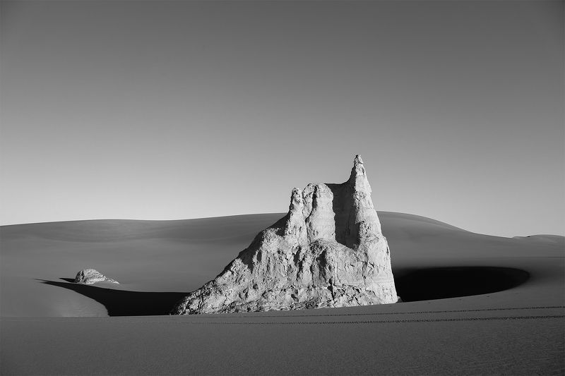 Penguin фото превью