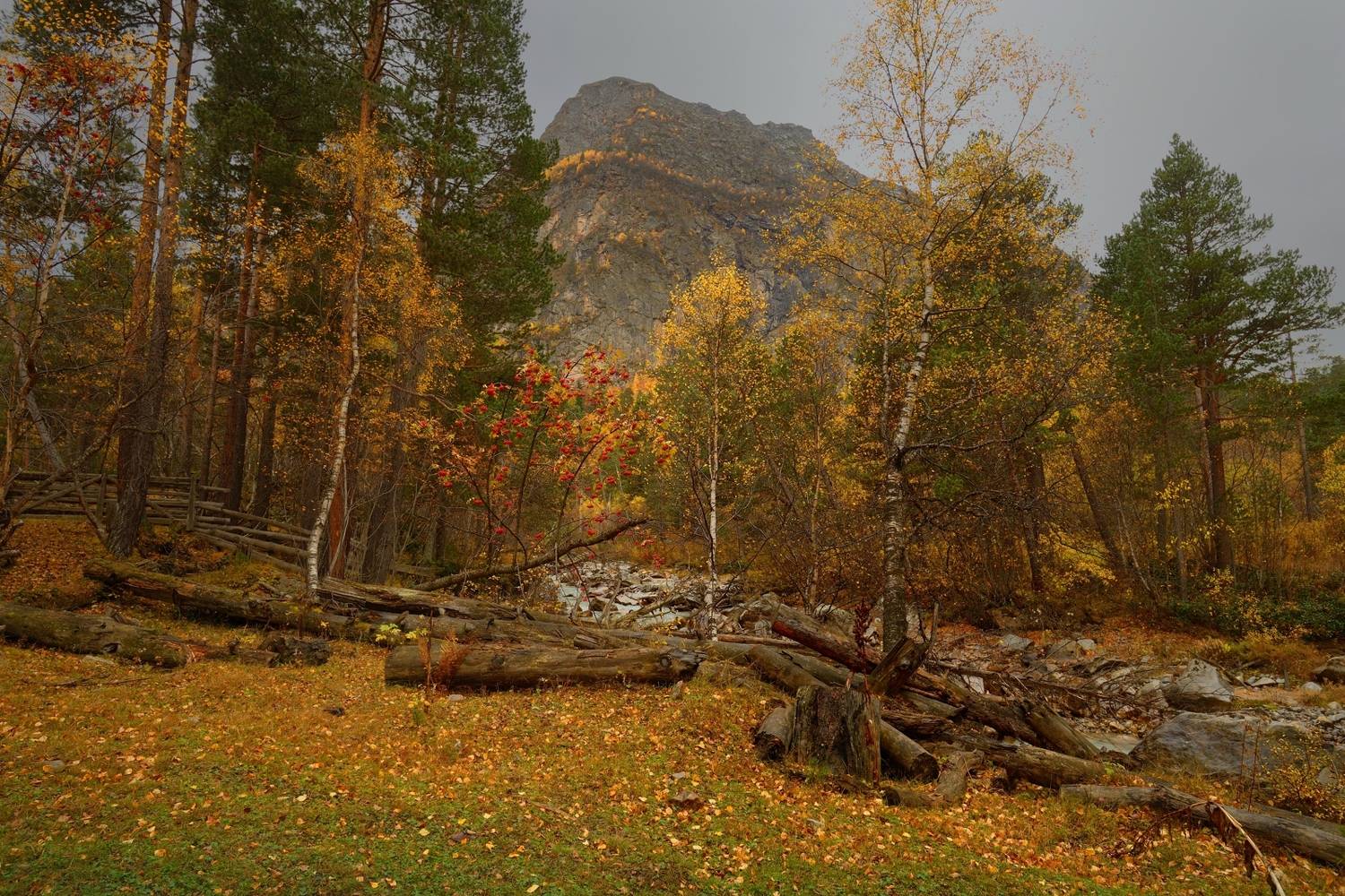 горы осень узункол, Александр Жарников