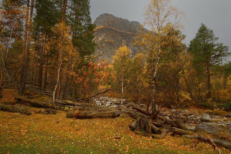 Осень в Узунколе фото превью