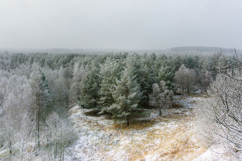 тула, тульская область Предзимье. фото превью