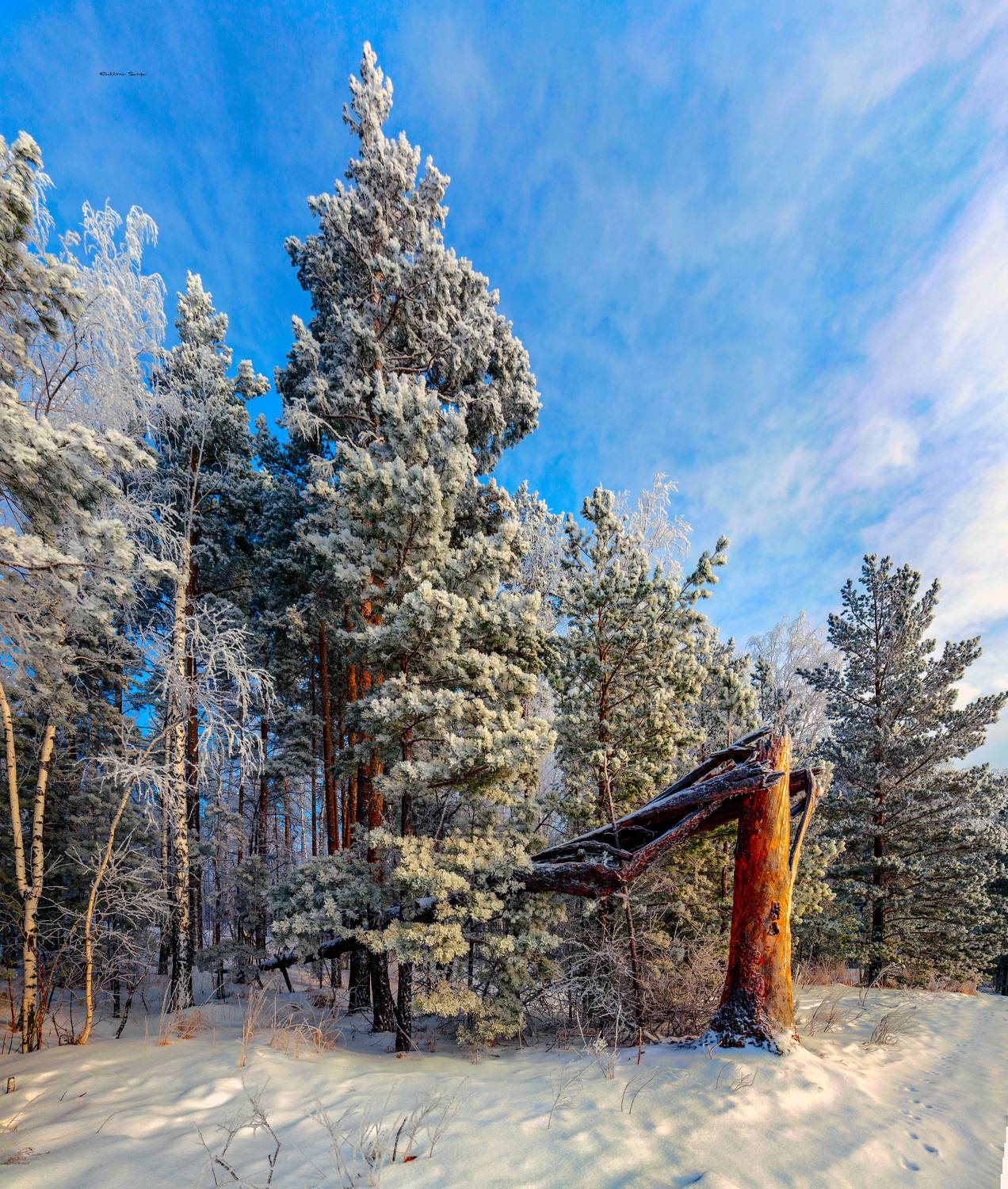 , Евдокимов Сергей