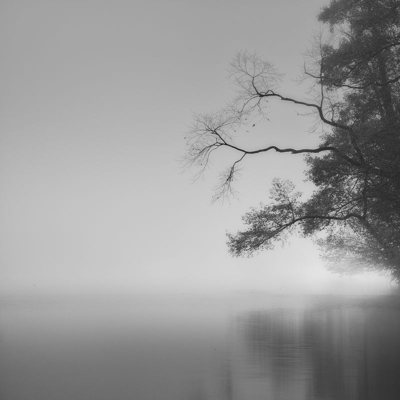 Inside My Mind фото превью