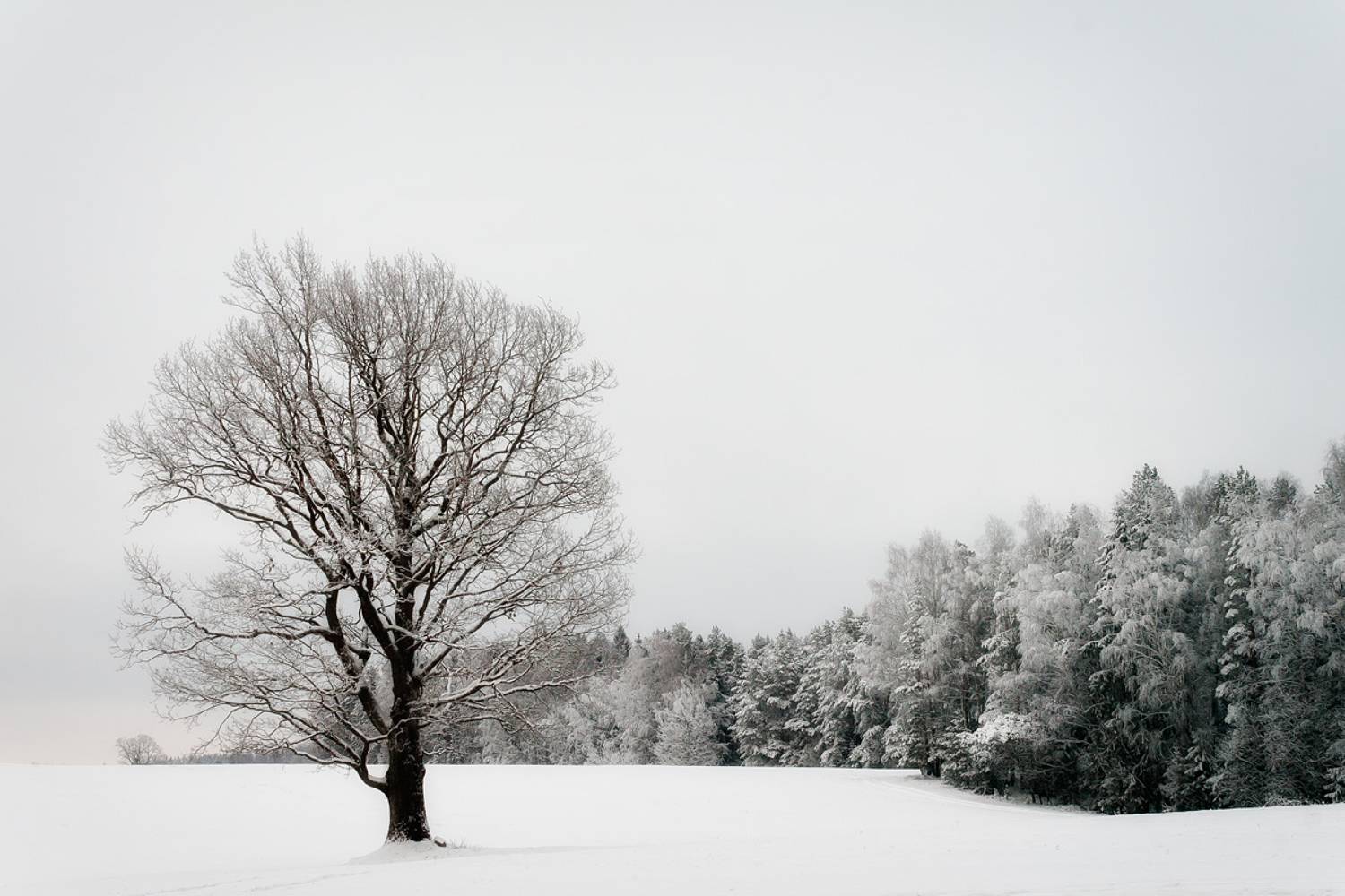 , Карабинов Дима