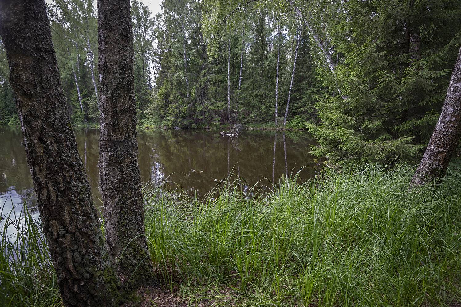 , Сергей Аникин