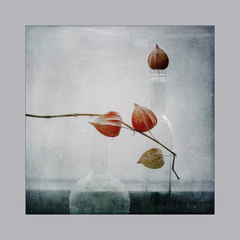 Морозно.. фото превью