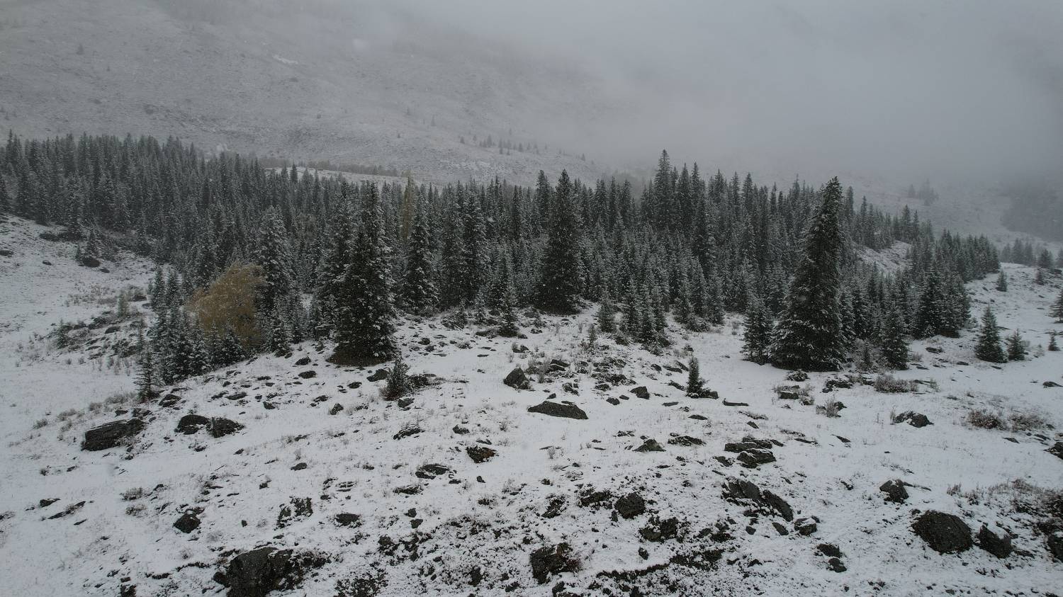 , Константин Буркин