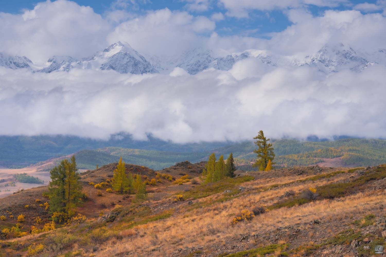 , Ковалев Дмитрий