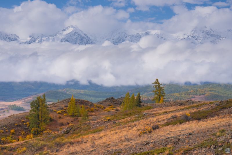 Северо-чуйский хребет в облаках фото превью