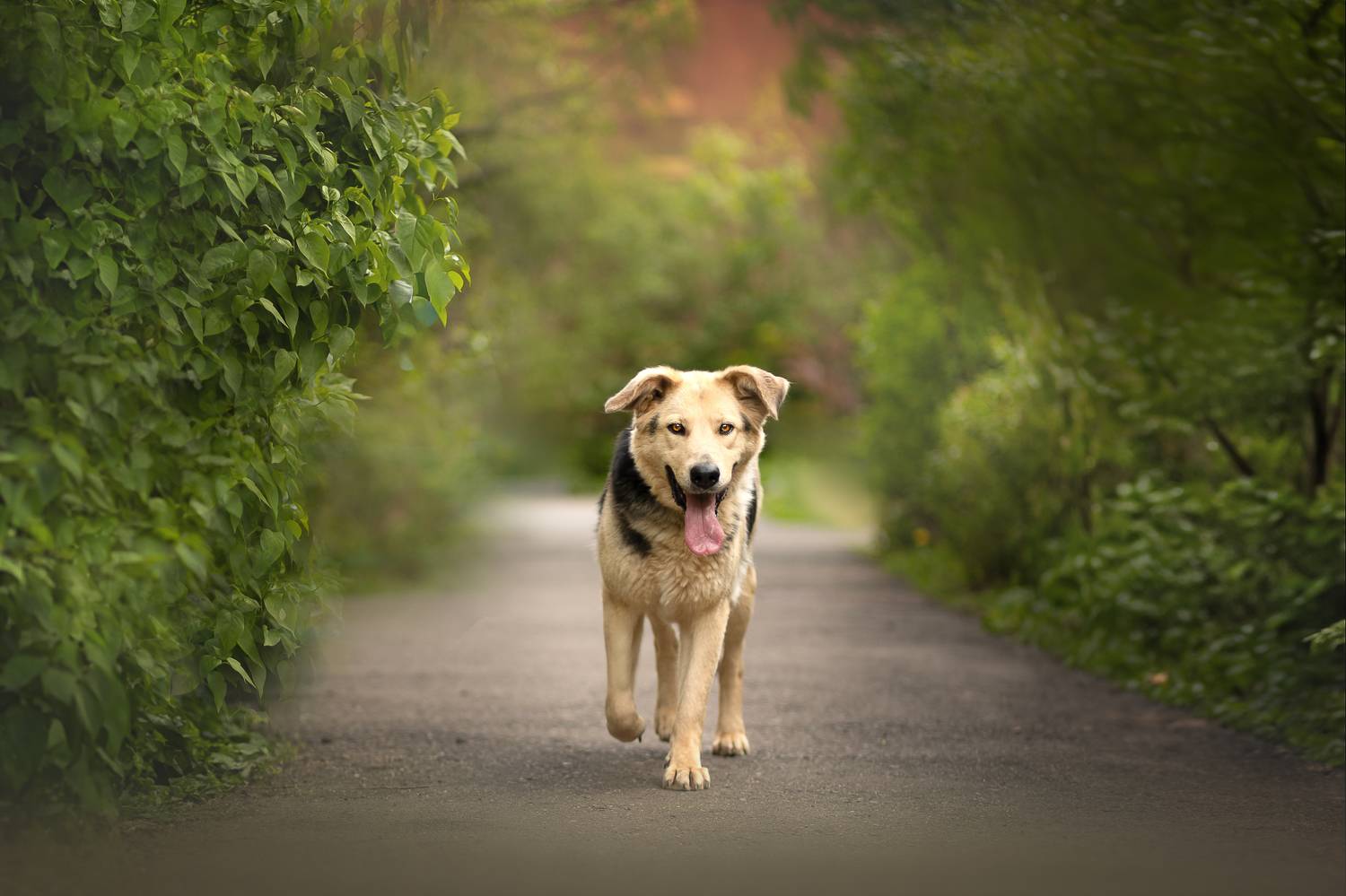, Самусенкова Елена
