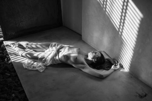 Contours of Light