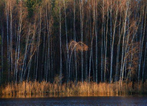 Утренний дуэт с оркестром